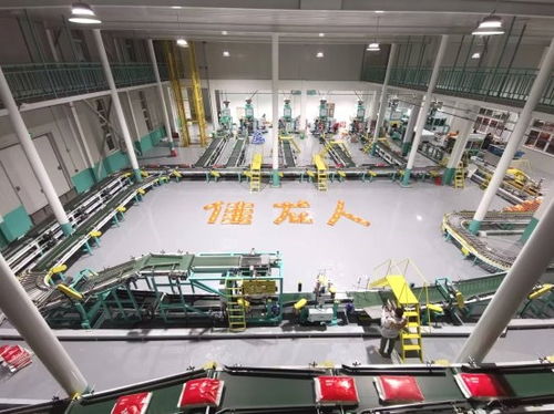 智能科技賦能傳統(tǒng)產(chǎn)業(yè) 漳州佳龍一站式包裝服務(wù)如何解放米廠工人雙手