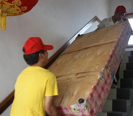 瀘州好運來搬家公司 您的專業搬家服務首選